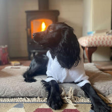 Load image into Gallery viewer, Dog Dressing Gown