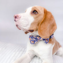 Load image into Gallery viewer, Who Let The Dogs Out Bow