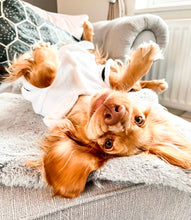 Load image into Gallery viewer, Dog Dressing Gown