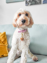 Load image into Gallery viewer, Vegan Leather Collars