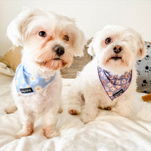 Load image into Gallery viewer, Daisy Dream Bandana
