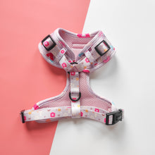 Load image into Gallery viewer, Donut Date Harness