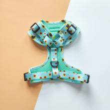 Load image into Gallery viewer, Sunflower Buzz Harness