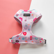Load image into Gallery viewer, Donut Date Harness