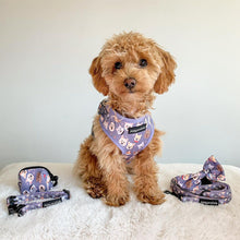 Load image into Gallery viewer, Who Let The Dogs Out Bundle