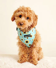 Load image into Gallery viewer, Sunflower Buzz Harness