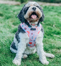 Load image into Gallery viewer, Donut Date Harness