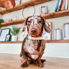 Load image into Gallery viewer, Vegan Leather Collars