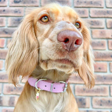 Load image into Gallery viewer, Vegan Leather Collars