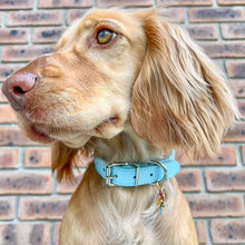Load image into Gallery viewer, Vegan Leather Collars