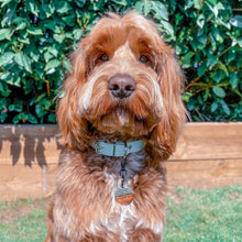 Load image into Gallery viewer, Vegan Leather Collars