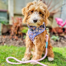Load image into Gallery viewer, Who Let The Dogs Out Harness
