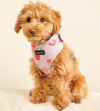 Load image into Gallery viewer, Donut Date Harness