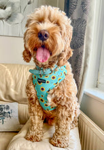 Load image into Gallery viewer, Vegan Leather Collars