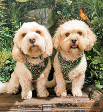 Load image into Gallery viewer, Green Leopard Harness