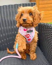 Load image into Gallery viewer, Donut Date Harness