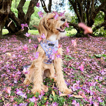 Load image into Gallery viewer, Who Let The Dogs Out Harness