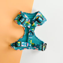 Load image into Gallery viewer, Up and Away Harness