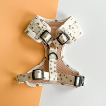 Load image into Gallery viewer, Signature Spots Harness