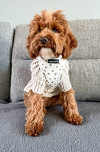 Load image into Gallery viewer, Signature Spots Harness