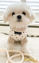 Load image into Gallery viewer, Signature Spots Harness