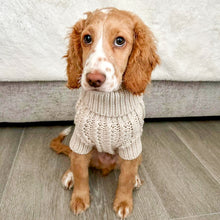 Load image into Gallery viewer, Oatmeal Jumper