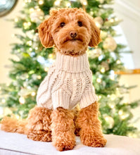 Load image into Gallery viewer, Oatmeal Jumper