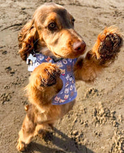 Load image into Gallery viewer, Who Let The Dogs Out Harness