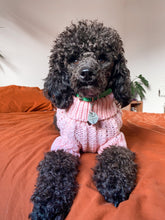 Load image into Gallery viewer, Pastel Pink Jumper