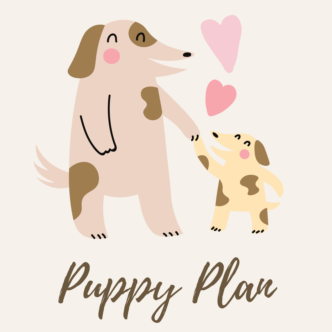 Puppy Plan