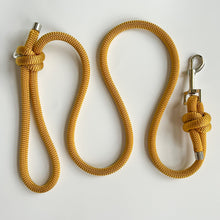 Load image into Gallery viewer, Gold Rope Lead