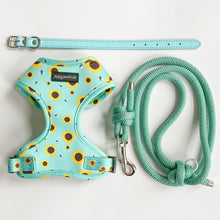 Load image into Gallery viewer, Sunflower Buzz Harness