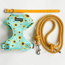 Load image into Gallery viewer, Sunflower Buzz Bundle