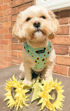 Load image into Gallery viewer, Sunflower Buzz Harness