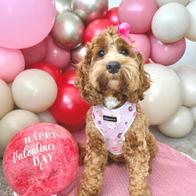 Load image into Gallery viewer, Donut Date Harness