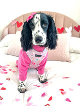 Load image into Gallery viewer, Donut Date Harness