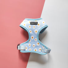 Load image into Gallery viewer, Daisy Dream Harness