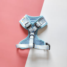 Load image into Gallery viewer, Daisy Dream Harness