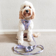 Load image into Gallery viewer, Who Let The Dogs Out Lead