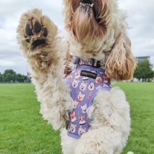 Load image into Gallery viewer, Who Let The Dogs Out Harness