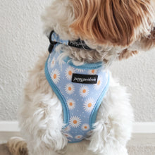 Load image into Gallery viewer, Daisy Dream Harness