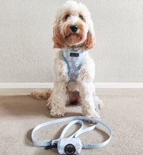 Load image into Gallery viewer, Daisy Dream Poo Bag Holder