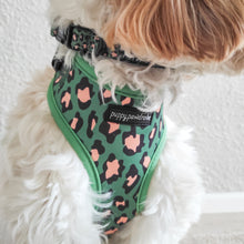 Load image into Gallery viewer, Green Leopard Harness