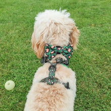 Load image into Gallery viewer, Green Leopard Bow