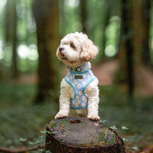 Load image into Gallery viewer, Daisy Dream Harness