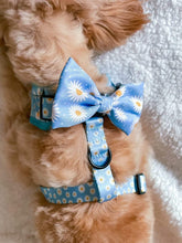 Load image into Gallery viewer, Daisy Dream Bow