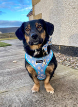 Load image into Gallery viewer, Daisy Dream Bow