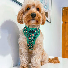 Load image into Gallery viewer, Green Leopard Harness