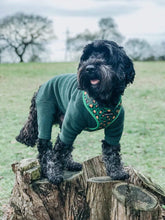 Load image into Gallery viewer, Green Leopard Harness