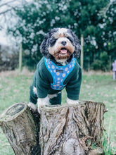 Load image into Gallery viewer, Daisy Dream Harness